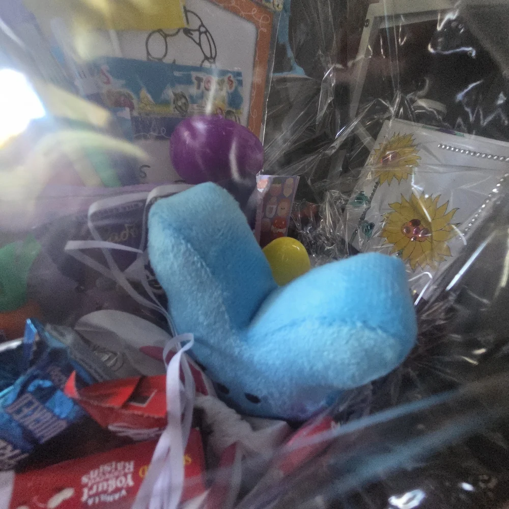 mine Lavender and Light Blue Easter Gift Basket